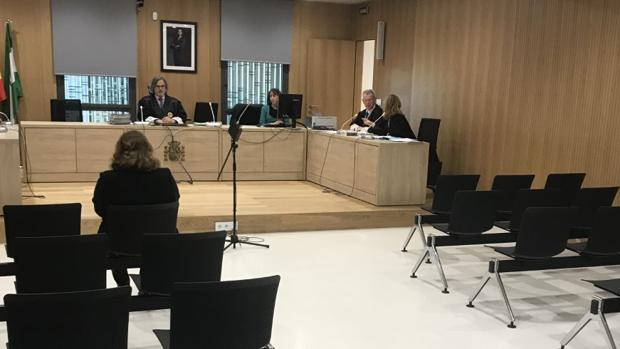 María del Carmen F. N., en primer plano (de espaldas), en el juicio celebrado ayer en Córdoba