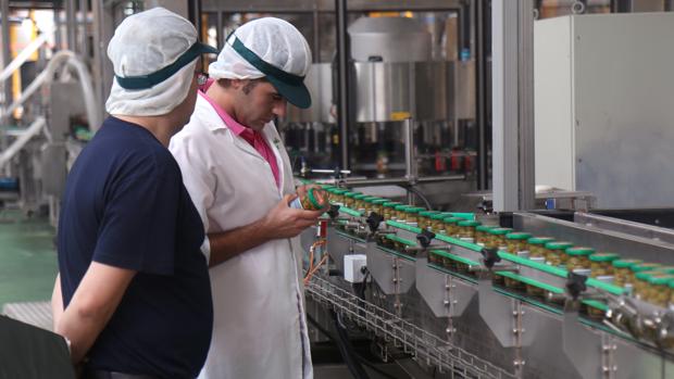 Instalaciones de la cooperativa Manzanilla Olive