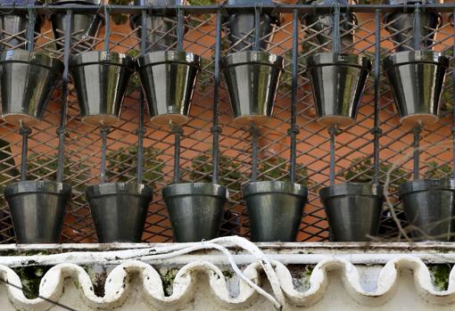 Detalle del estado que presentan las macetas en la fachada de la azotea estos días