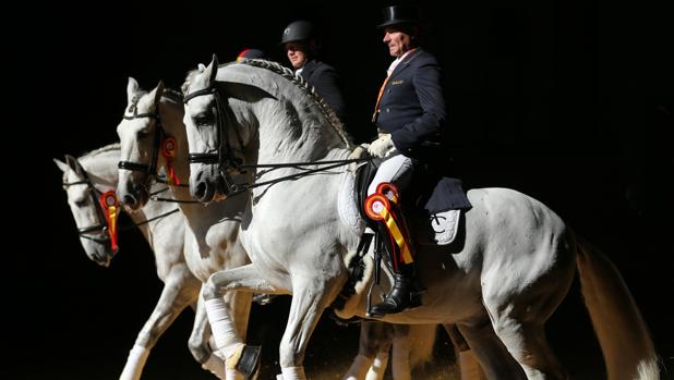 Ejemplares de pura raza española campeones de SICAB
