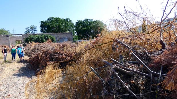 Abandono del Parque Miraflores