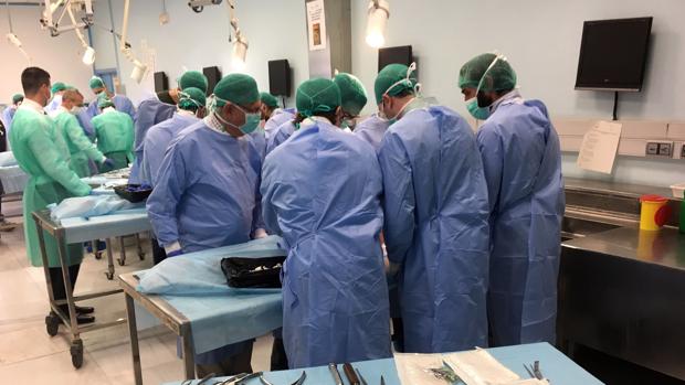 Desarrollo práctico del taller con cadáveres en las instalaciones del Instituto Anatómico