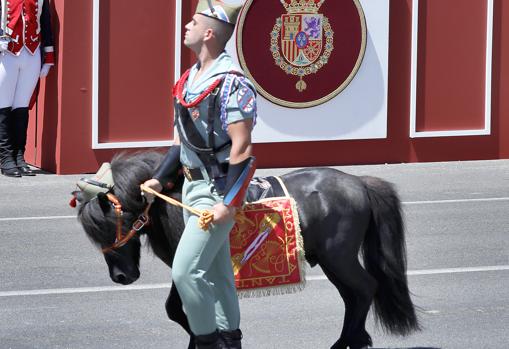 poni-legionarios-desfile-k58B--510x349@abc.jpg