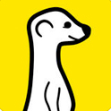 meerkat